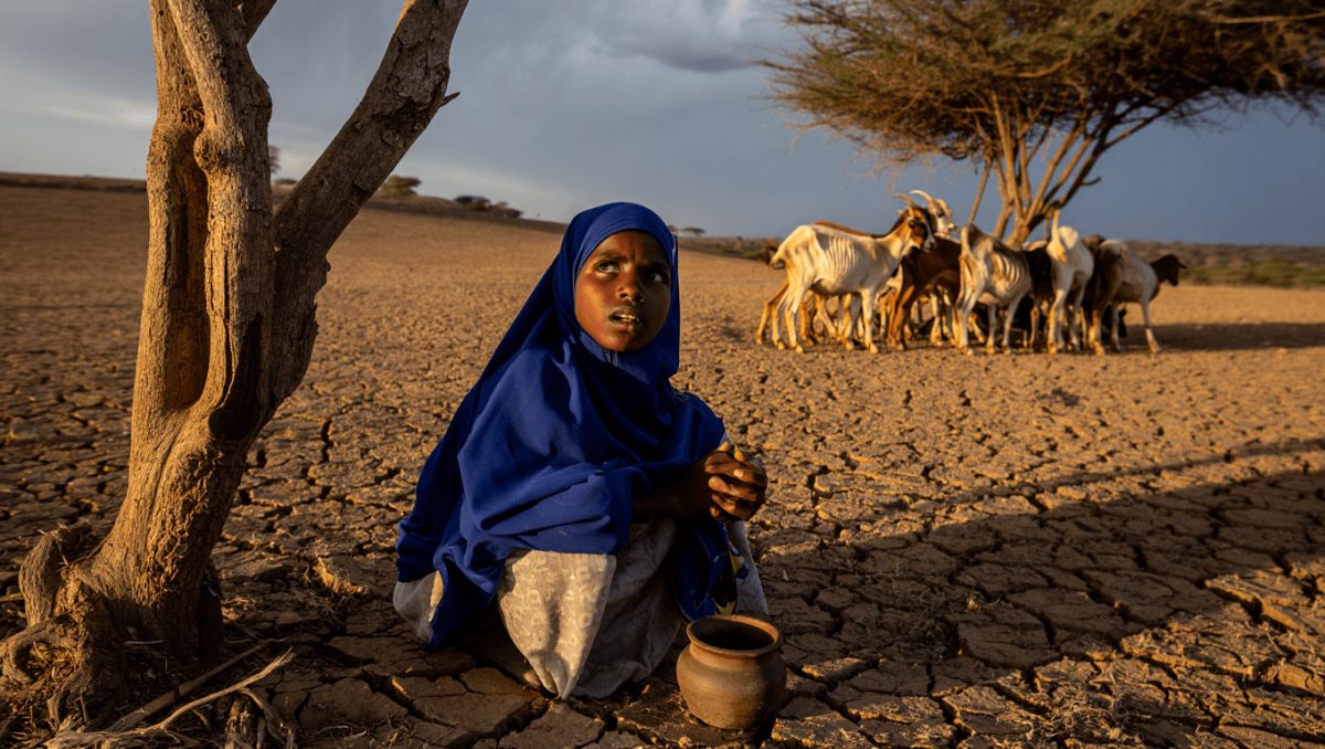 Corno d’Africa, la stagione secca e piovosa aumenta l’allarme per l’insicurezza alimentare