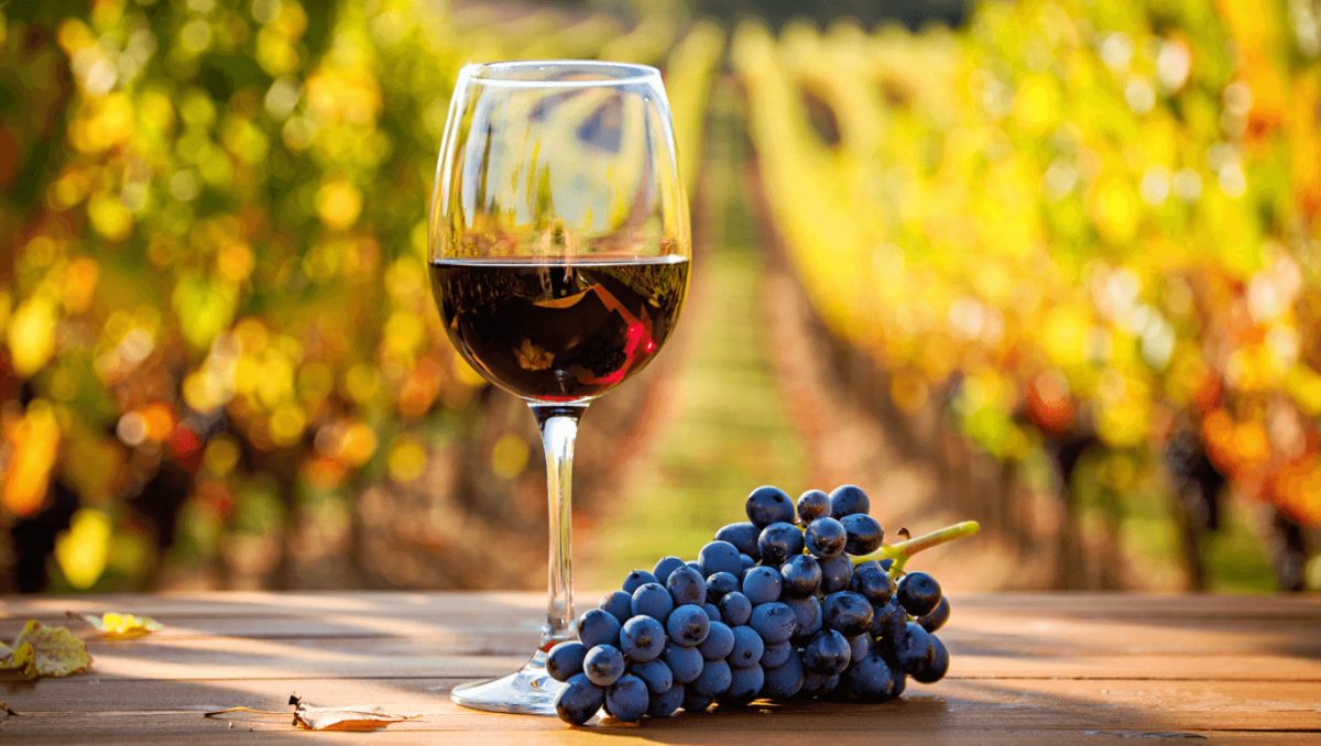 Damagi, il Cabernet Sauvignon alla piemontese