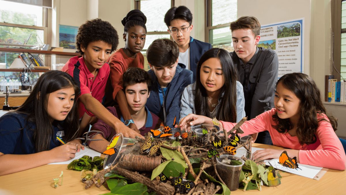 Matteo Pizi e il Bosco delle api a Cremona: “Un ambiente protetto per gli insetti, ma anche per gli studenti sospesi”