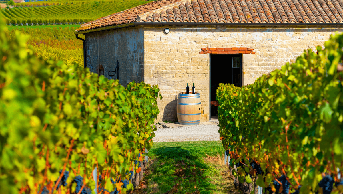Fontanabianca, l’anima austera di Neive