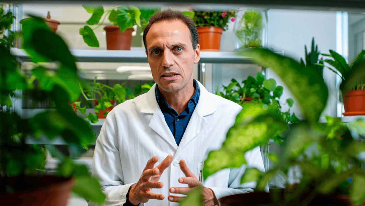 Il biologo Marco Ferrari: “Smettiamola di romanticizzare il racconto delle piante: non sono animali e non sono buone”