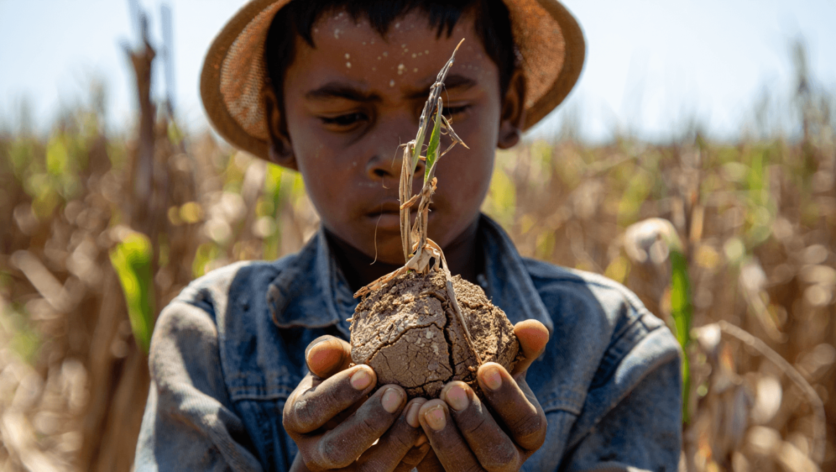 Guerre per le risorse alimentari: i grandi dogmi dell’industria che produce cibo per tutto il mondo