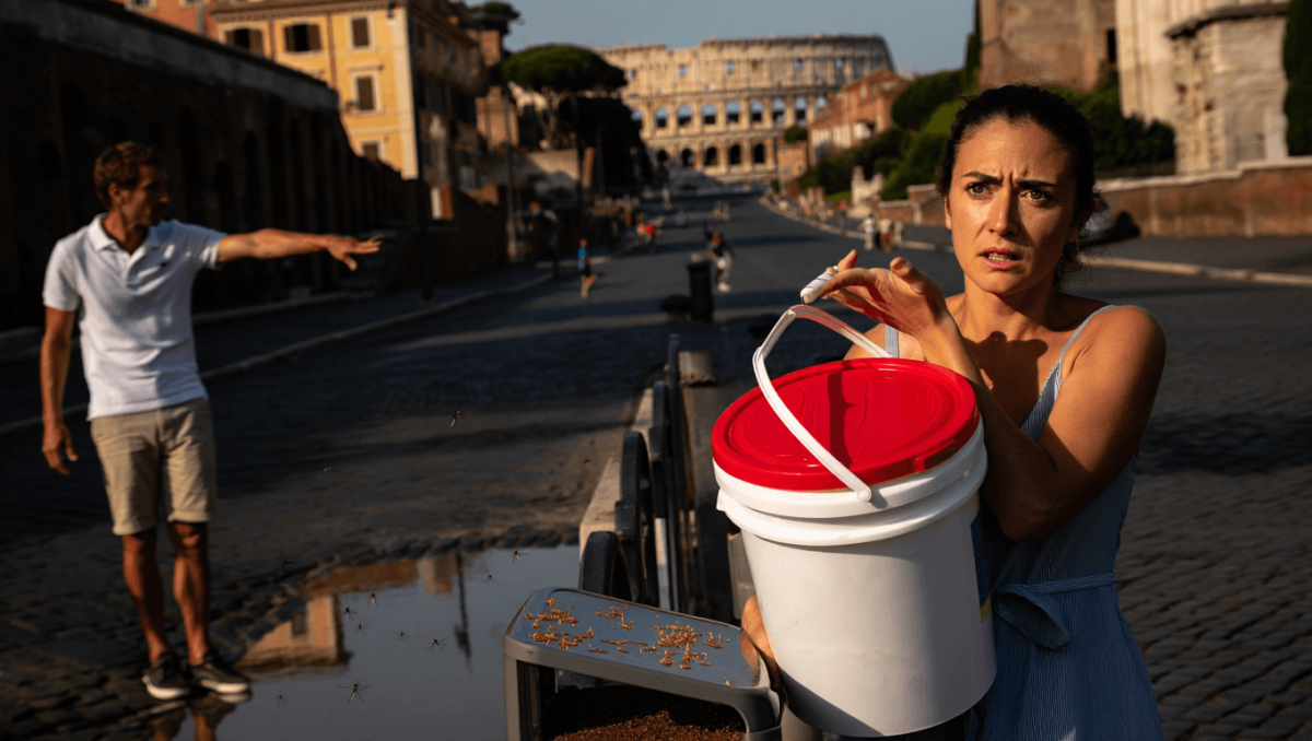Zanzare a Roma, firmata l'ordinanza del sindaco: ecco cosa fare per evitare punture e sanzioni