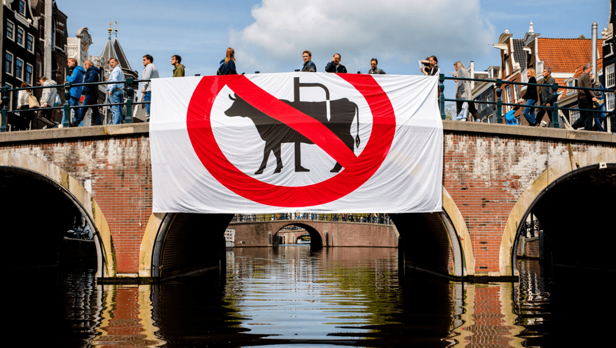 Cambiamento climatico, stop a pubblicità di carne e combustibili fossili: Amsterdam è la prima a introdurre il divieto