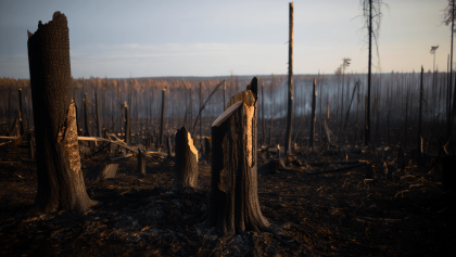 Clima in Europa, ondate di calore record anche nelle regioni più fredde. Nel 2025 in fumo un milione di ettari di bosco