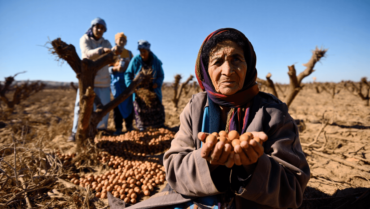 Marocco: l’argan, oro liquido, tra emancipazione femminile e nuove disuguaglianze