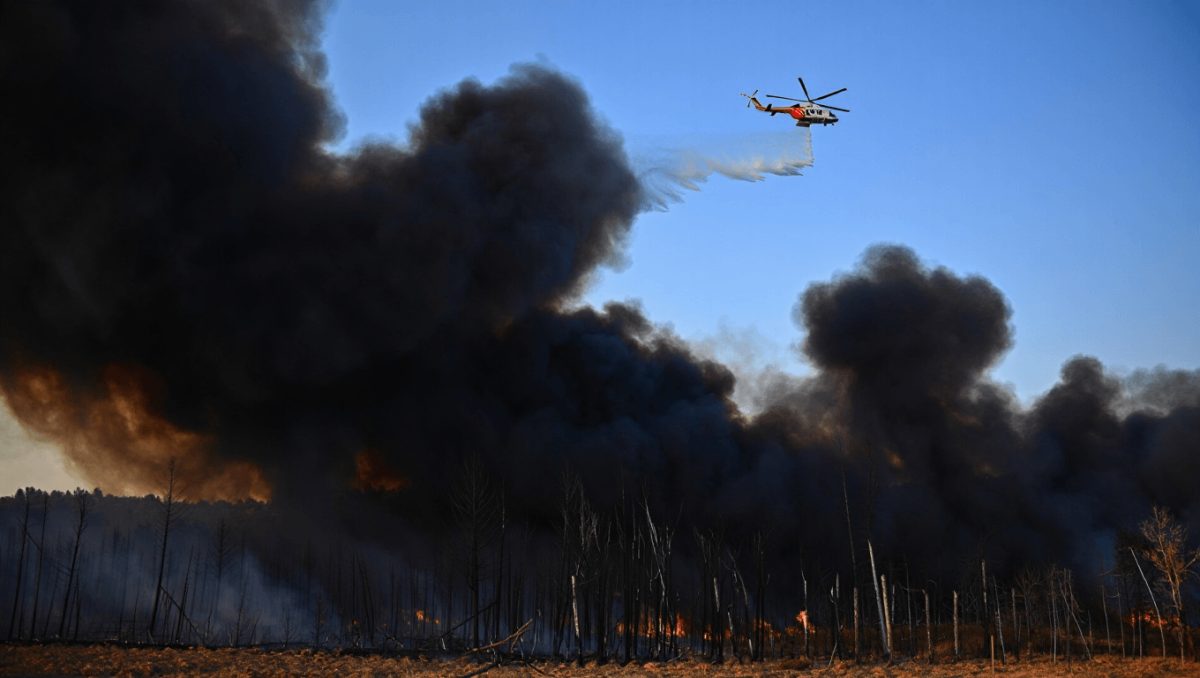 Incendi boschivi: in Italia raddoppia la superficie in fumo. Nel 2025 bruciata un’area grande come la provincia di Pistoia
