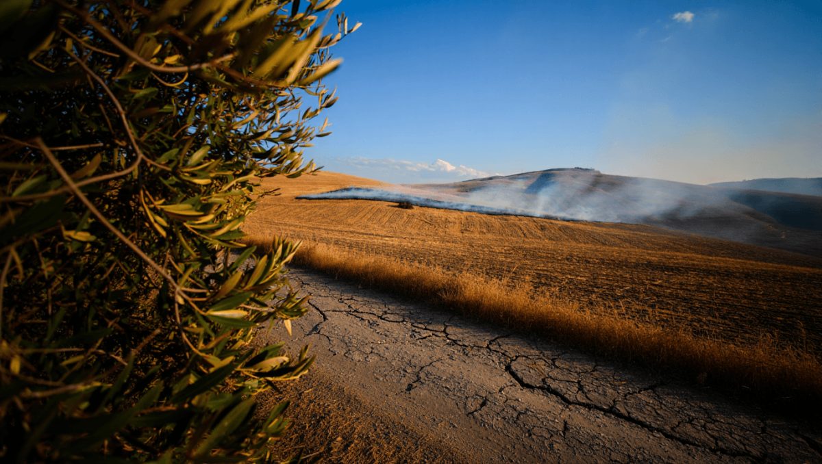 Nuova ondata di calore in Italia: colpirà soprattutto Centro-Sud e Sardegna. Temperature fino a 41°C e sale l’allerta per gli incendi