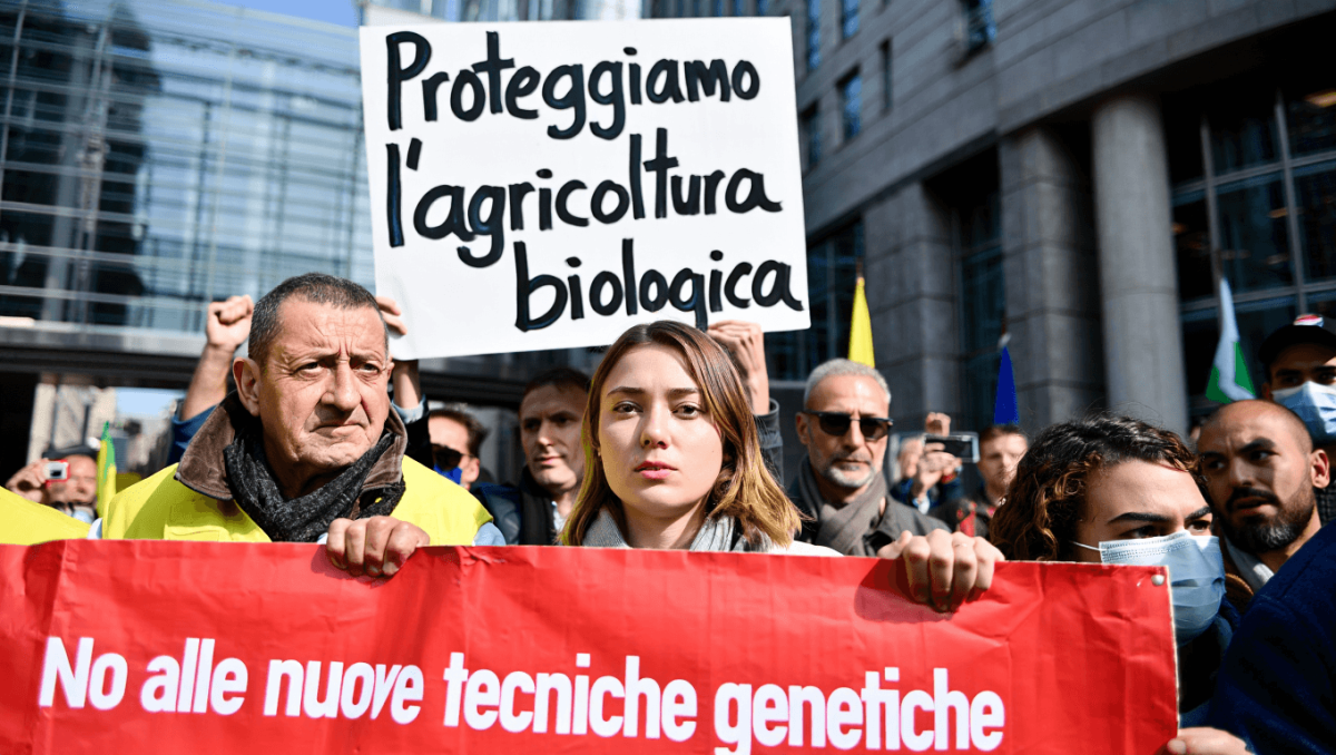 Nuovi Ogm, scatta la mobilitazione in vista del voto in Parlamento Ue per dire “no” alla deregolamentazione