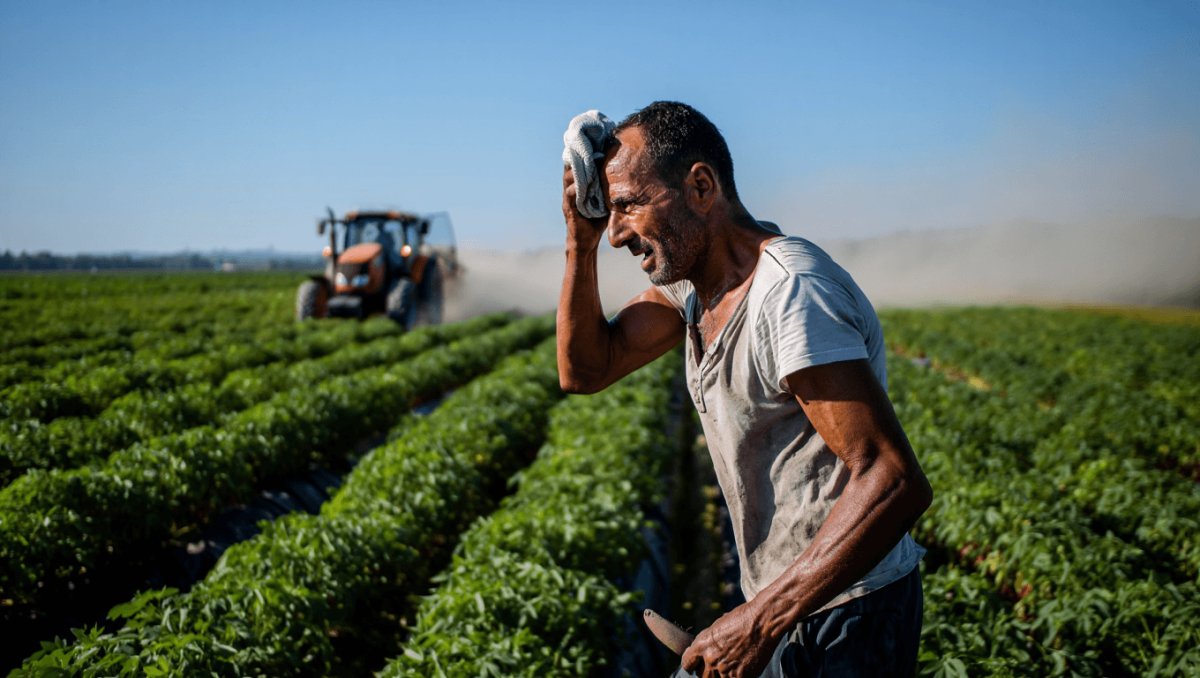 Cibo, dietro le eccellenze agroalimentari i diritti e la sicurezza sono comunque a rischio