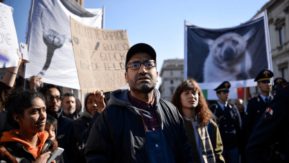 “Ddl caccia? Pd e Italia viva complici della maggioranza”: il duro attacco delle associazioni ambientaliste e animaliste