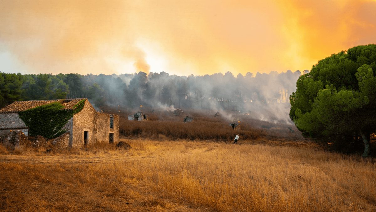Gli alleati degli incendi: oltre al clima, il vuoto dopo l’abbandono dei campi. L’esperto: “Il fuoco gestisce i nostri boschi”