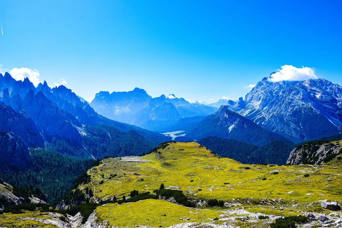 Paesaggio alpino ad alta quota con fauna selvatica in movimento verso i vertici montani