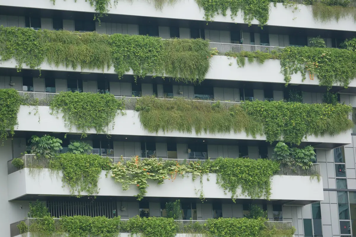 Spazi verdi e giardini in progettazione urbana sostenibile