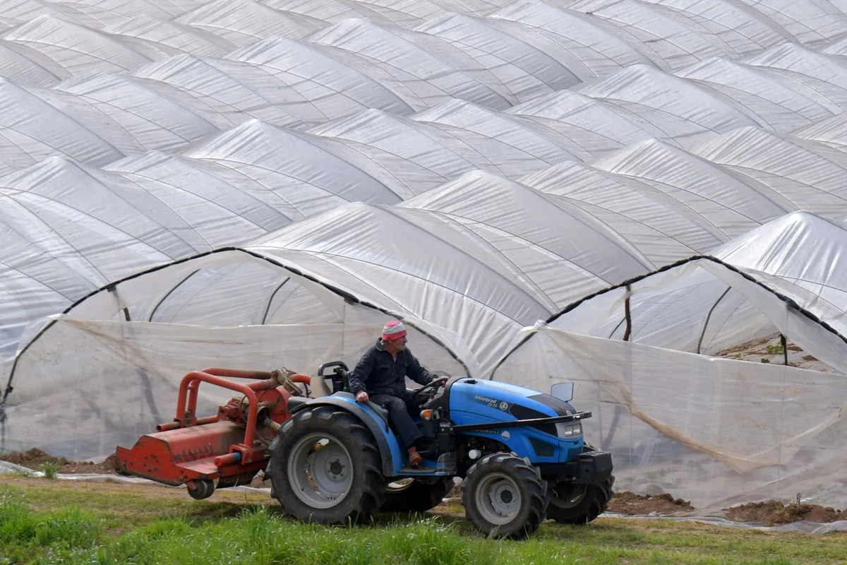 Cumuli di scarti plastici e vegetali provenienti dalle serre agricole in una zona rurale