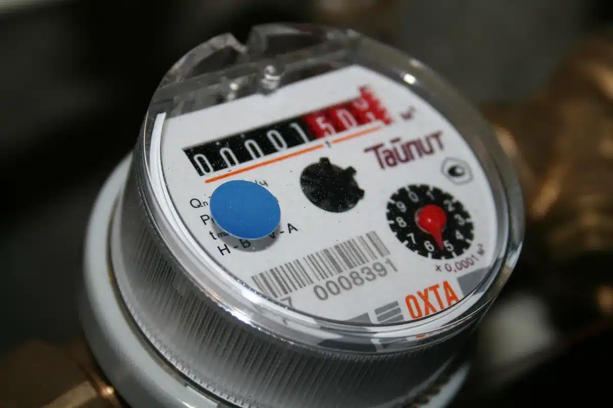 Sportello del contatore del gas esterno, nascondiglio ideale per nidi di vespe orientalis