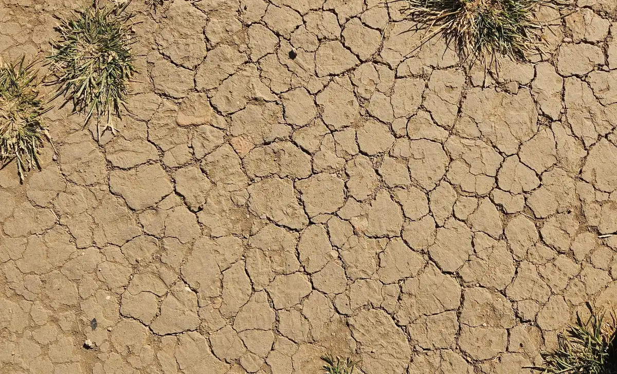 Campo agricolo secco con crepe e cielo minaccioso, simbolo di eventi estremi