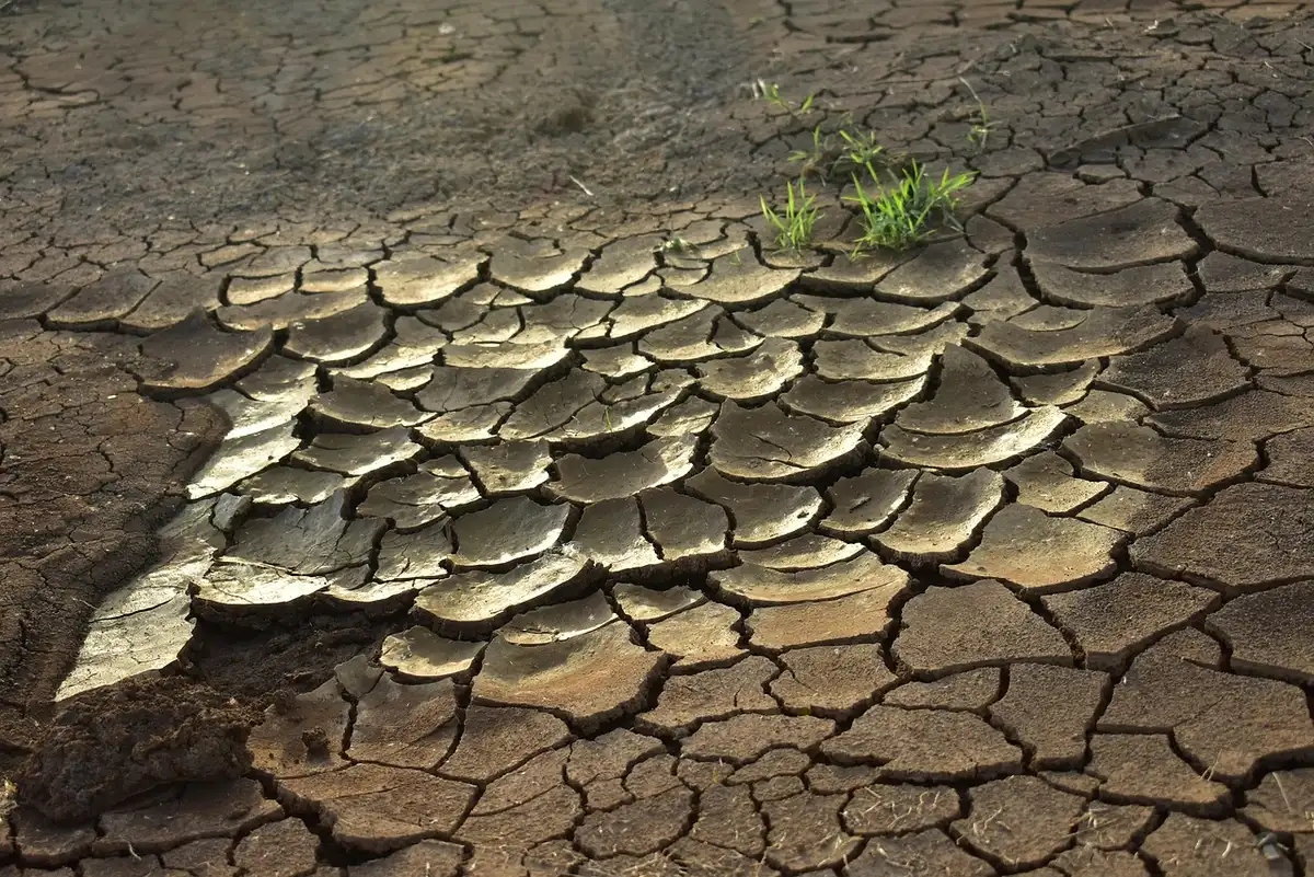 Terra agricola secca e vegetazione stressata in area mediterranea