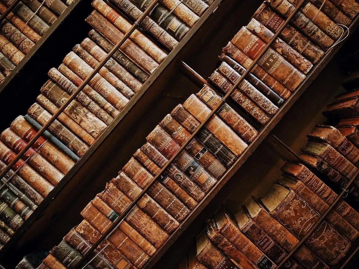 Scaffali di libreria con titoli variegati in primo piano