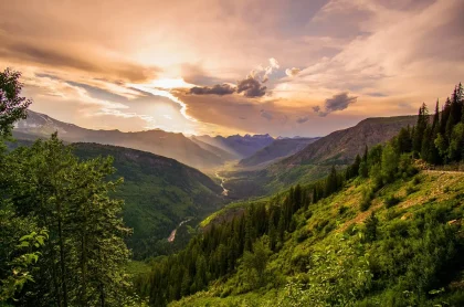 Veduta aerea di una foresta di faggi in zona protetta con aree di disboscamento e macchinari da cantiere
