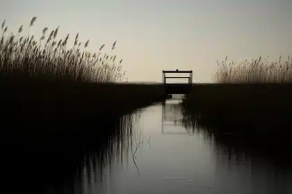 Po in emergenza: acqua salata risale il delta, Anbi lancia l'allarme