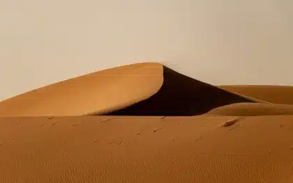 Silhouette di persone e una tenda nel deserto, evocazione di esilio e attesa