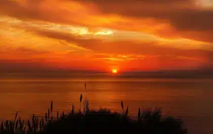 Folla in controluce su una spiaggia e una chitarra appoggiata su una sedia vuota