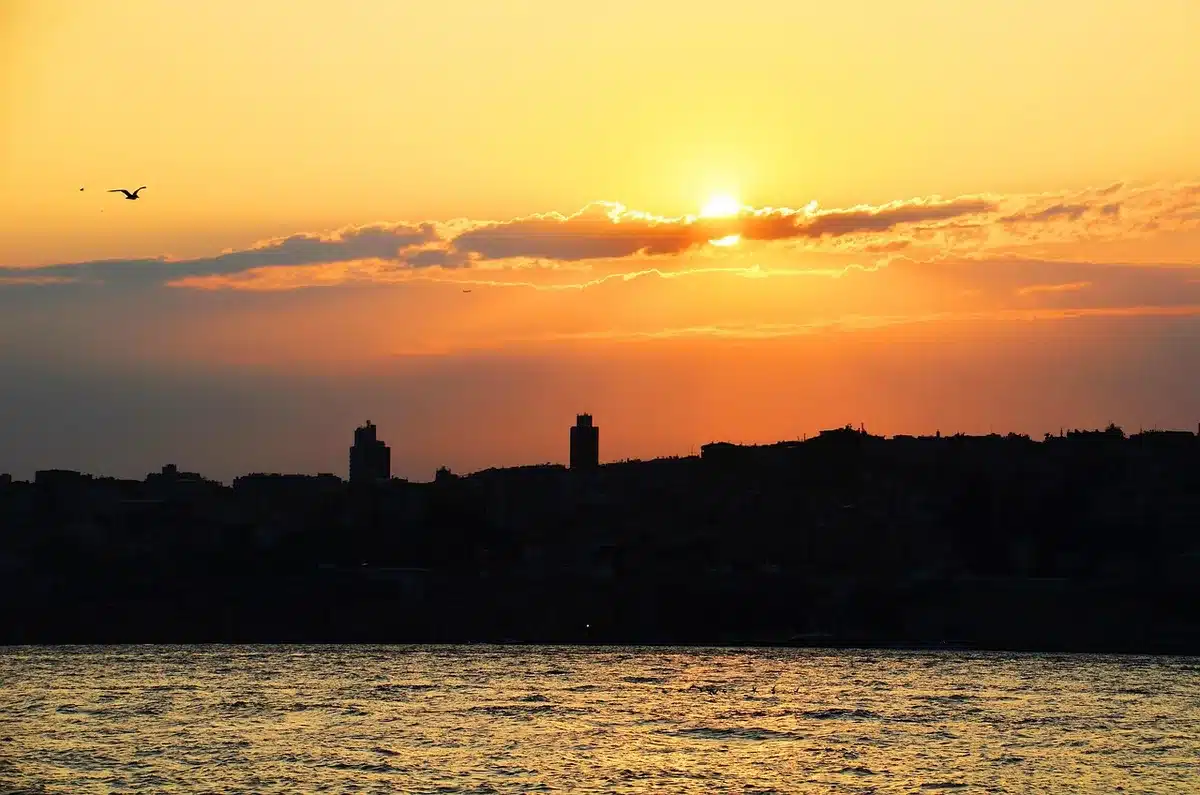 Silhouette su un tetto di Istanbul con vista sul Bosforo e un case per chitarra