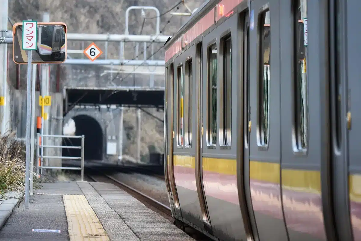 Sagoma di due persone sedute in un vagone, paesaggio diviso fuori dal finestrino