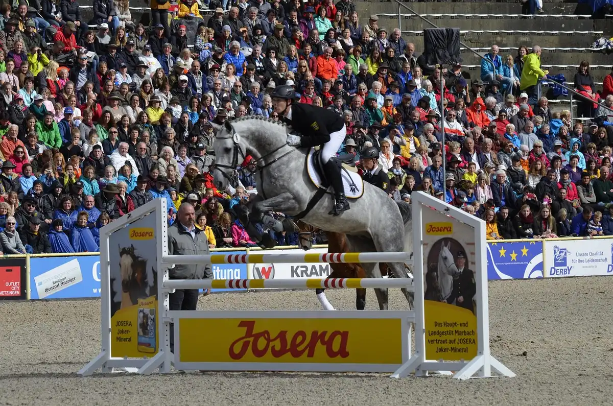 Arena di salto con ostacoli e sagome di cavalli e cavalieri in controluce