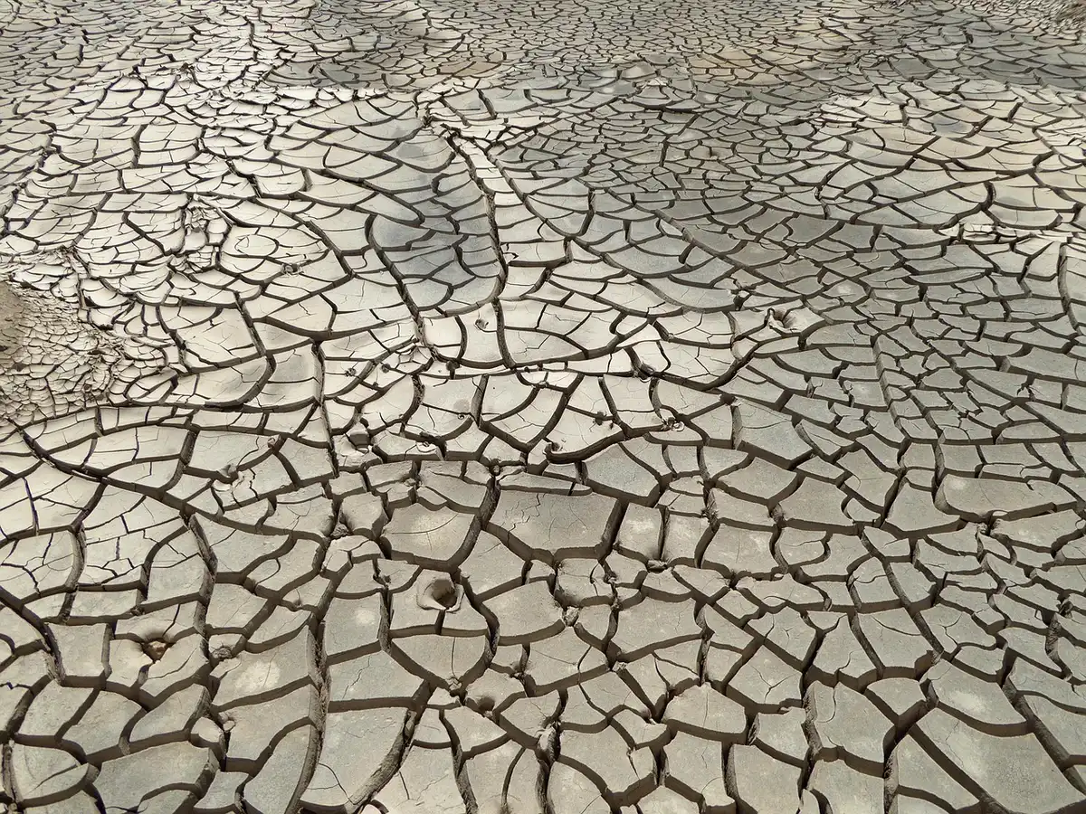 Letto del fiume parzialmente asciutto per ondate di caldo